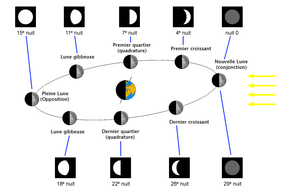 Phases de la Lune